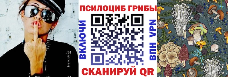 Галлюциногенные грибы мицелий  Туапсе 